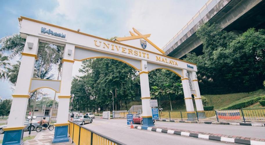 faculty of arts 专业