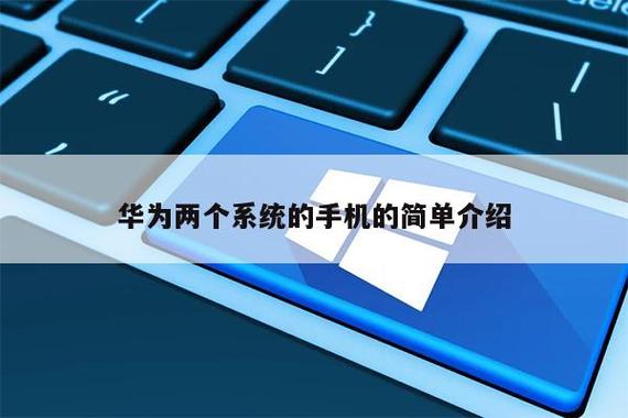 华为两个系统的手机