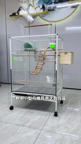 鹦鹉笼子怎么布置图标