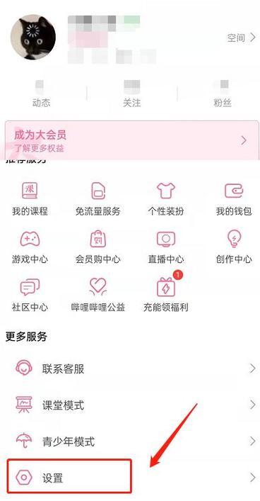 哔哩哔哩可以两个人一起登吗