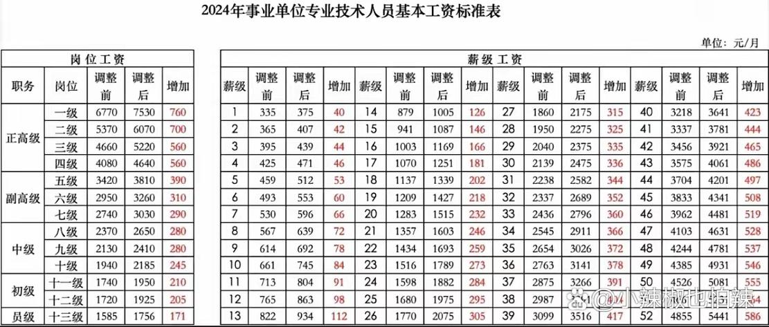 2024年工资如何改革图标