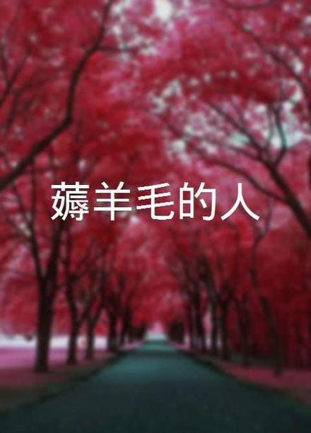 爱薅羊毛的人