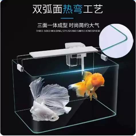 热弯缸有超白的吗