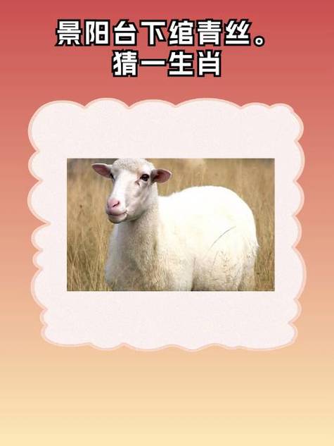 从人旁一个羊念什么字