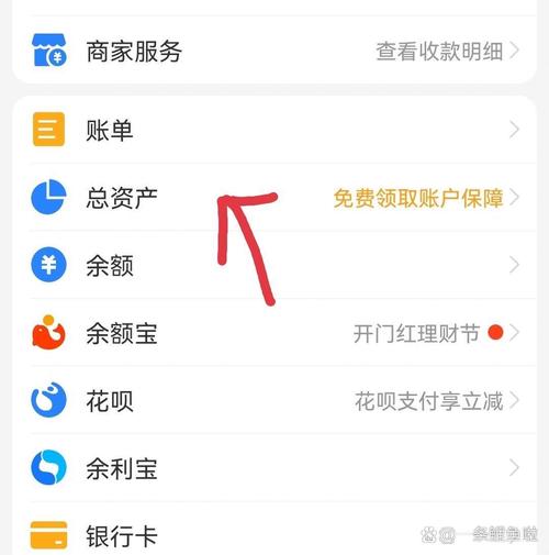 余额宝总金额怎么提不出来缩略图
