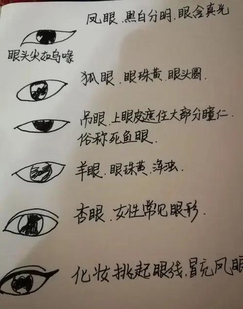 丹凤眼的眼型特征缩略图