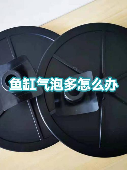 鱼缸气泡多是怎么回事