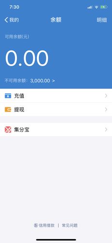 支付宝不可用余额什么意思截图