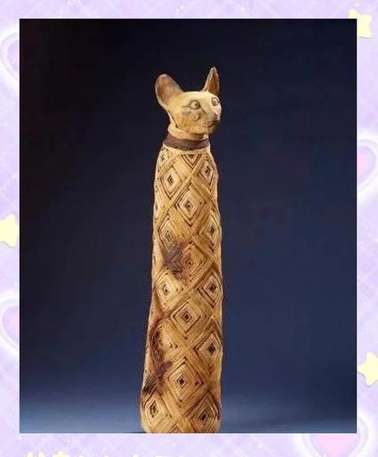 猫和古埃及有什么关系图标