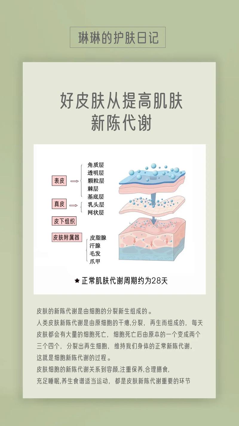 如何加速脸部皮肤代谢