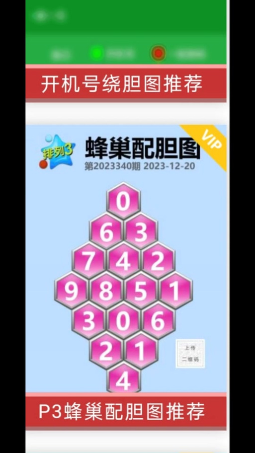 3d蜂巢配胆图软件下载