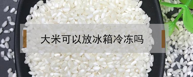 大米可不可以一直冷冻