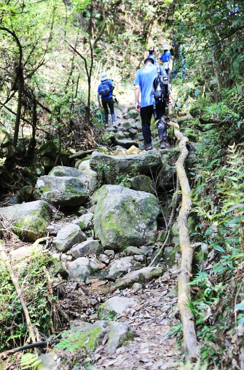 红尘与小路野外生存挑战截图