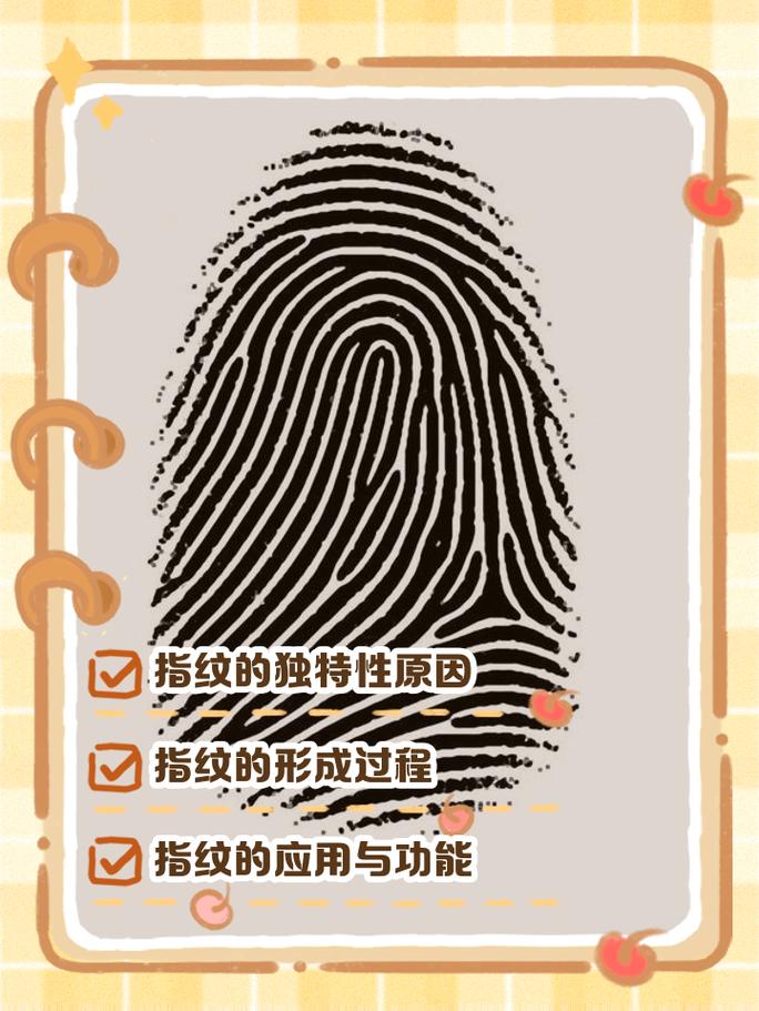 拼多多上找不到指纹怎么办