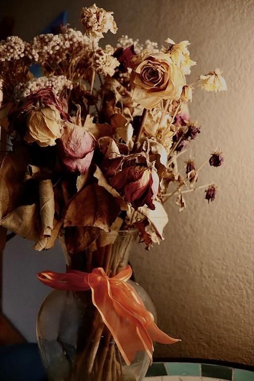 枯花