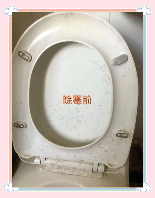 马桶盖上的霉斑点怎么才能清除