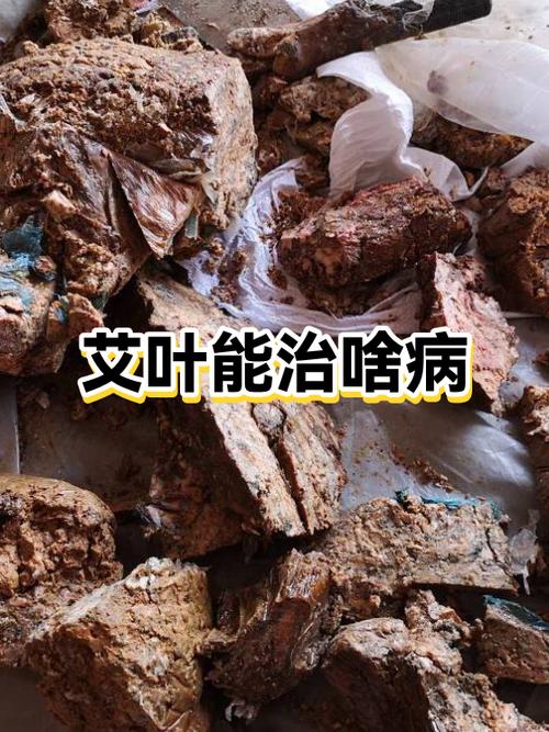 艾叶熬水能治hpv吗