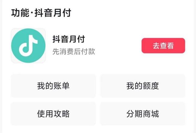 怎样知道自己的抖音月付是否关闭了图标