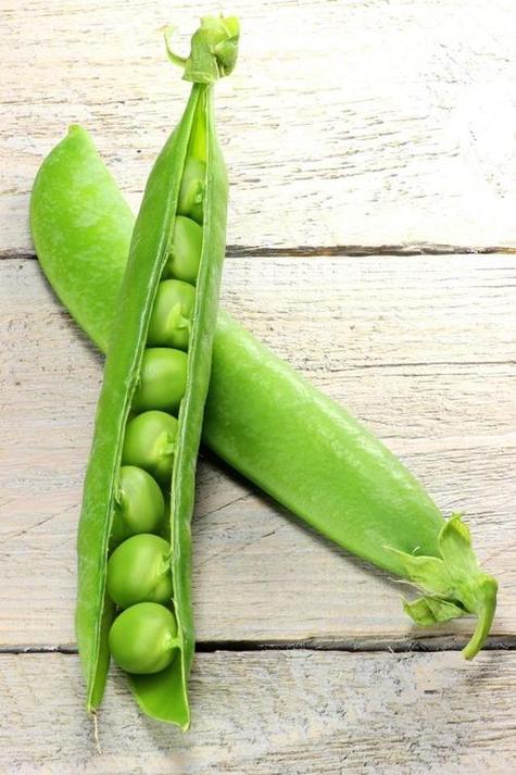 10种常见豌豆品种