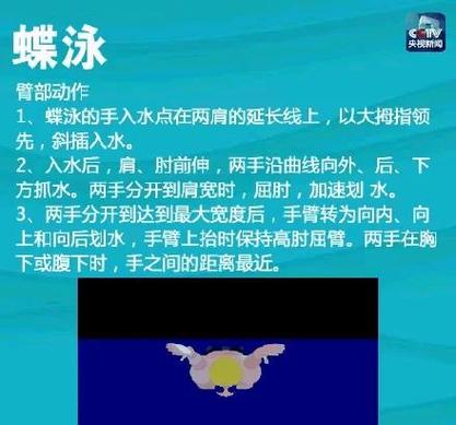 初学游泳步骤口诀