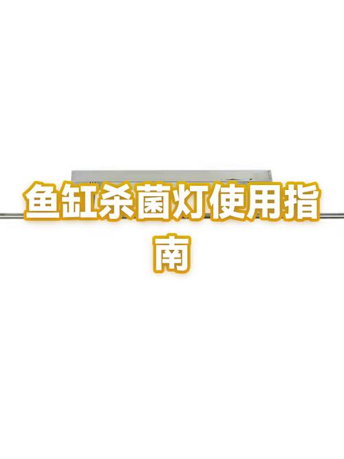 鱼缸灯白天开还是晚上开