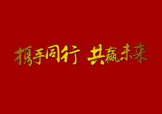 凝聚团队合力,共同努力,共谋发展,共缩略图