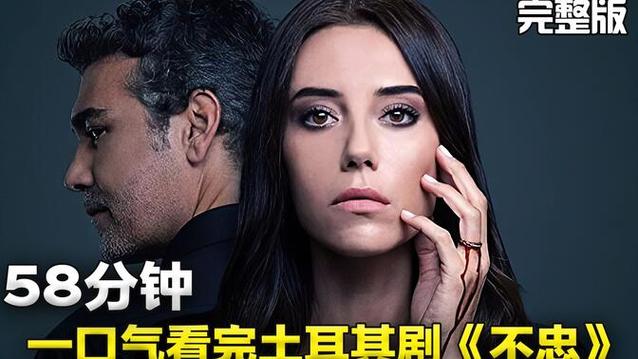 电视剧不忠全集