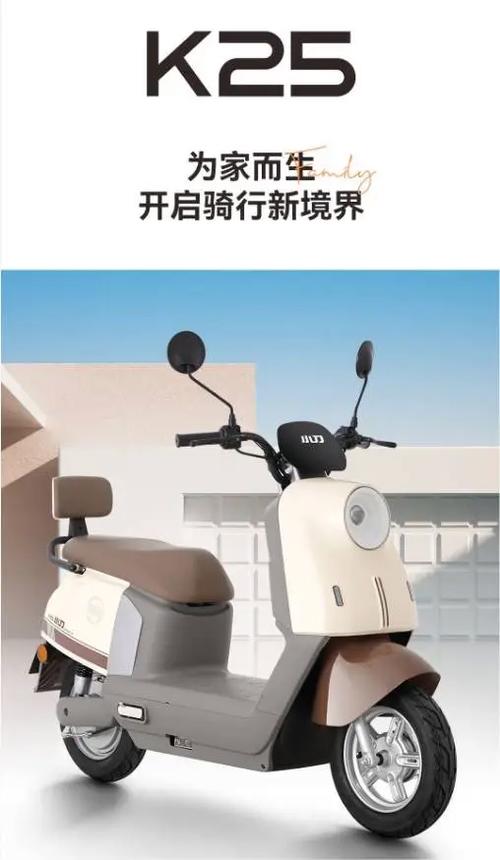两轮电动车之家官网