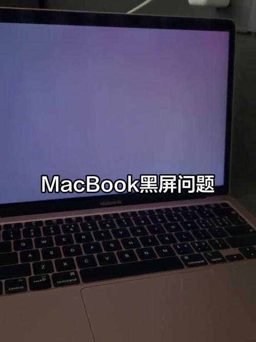 mac突然不能打中文