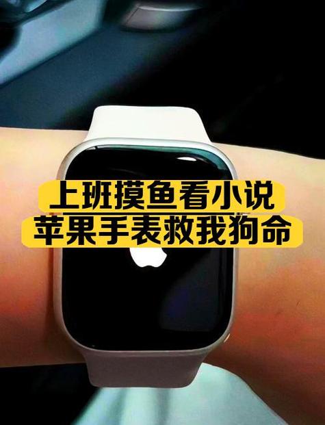 苹果手表能听小说吗截图