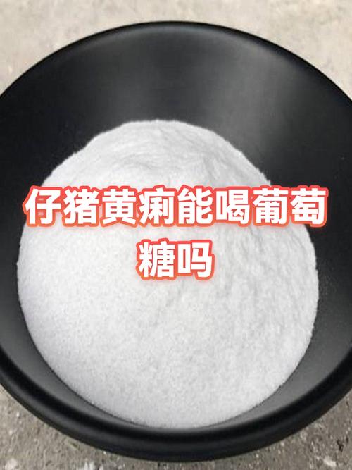 猪黄痢最怕三个药