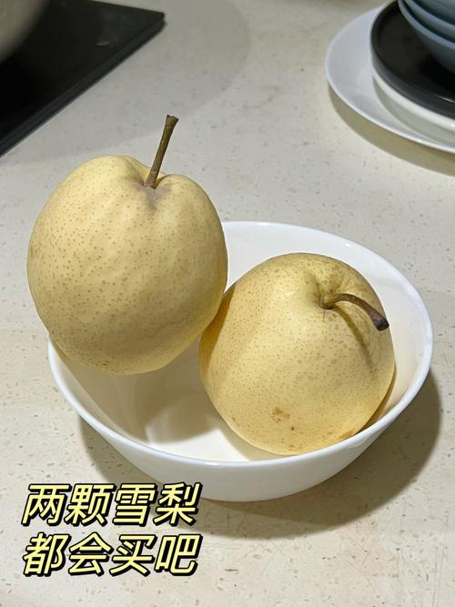 快转赚和雪梨网哪个好