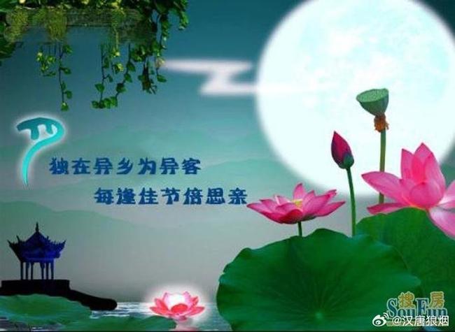 在异乡思念家乡的成语截图