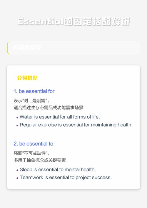 essential的固定搭配