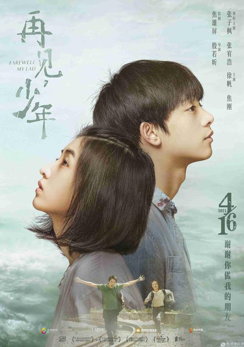 再见少年电影上映时间