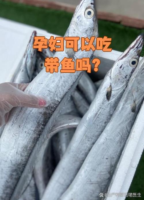 孕妇可以吃带鱼吗