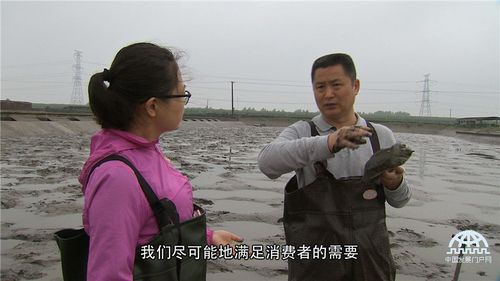 致富经2026新商机