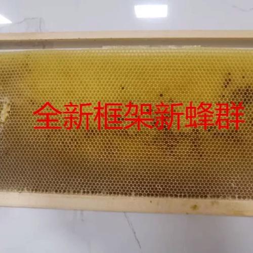 蜂窝怎么保存最好