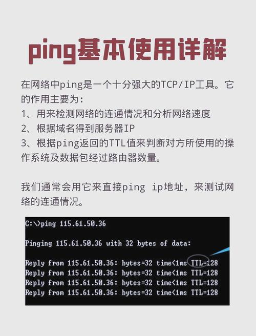 ping APP