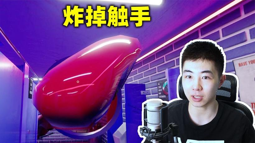 神戳戳的苏神是哪里人