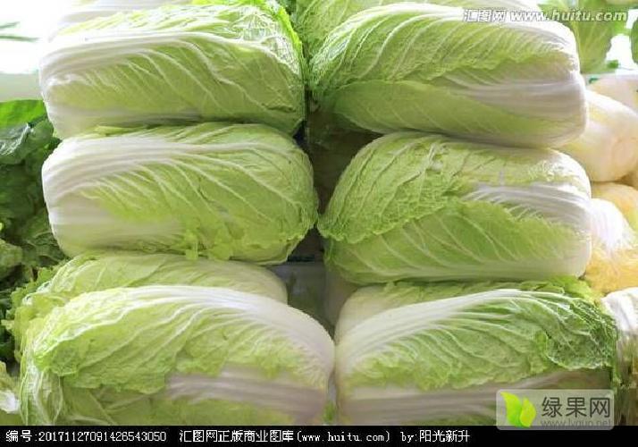 白菜折扣网