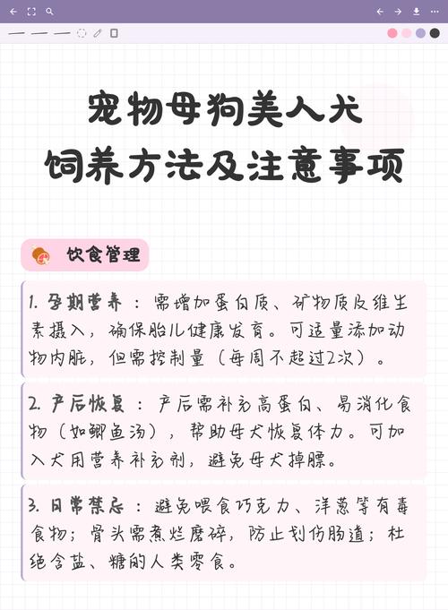 母犬美人犬1-10章更新了没