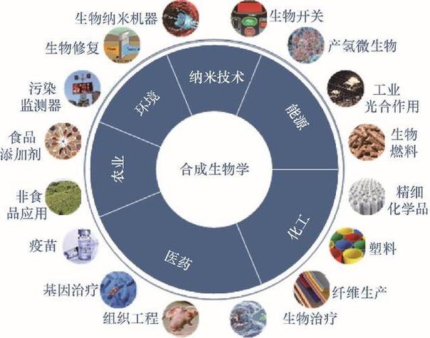 我的世界生物生成指令