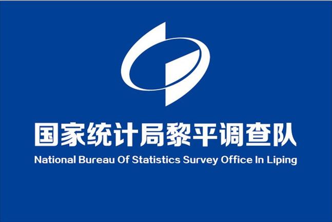 重大国家统计调查项目应当报