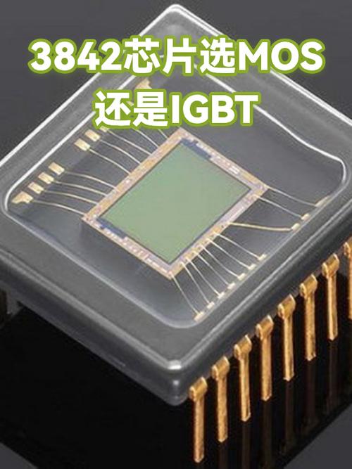 vivo天玑和骁龙哪个好
