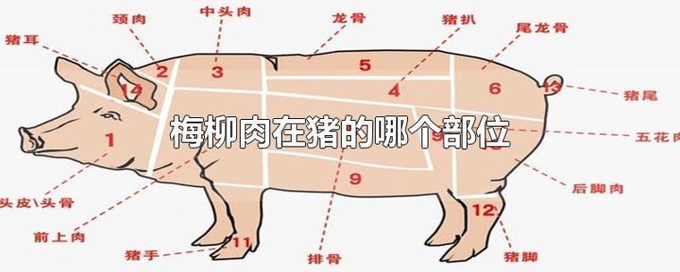 梅花肉在猪的哪个部位缩略图