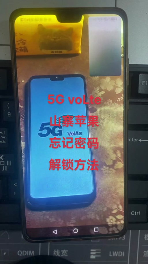 nzone手机密码忘记