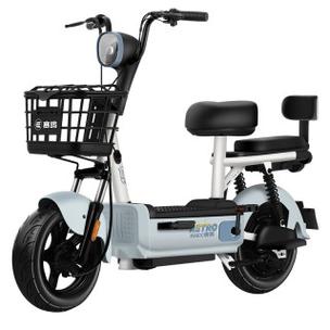 台州赛鸽电动自行车截图