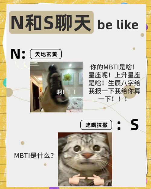 SNN是情侣之间什么关系