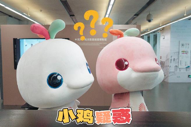 qq小海豚表情包